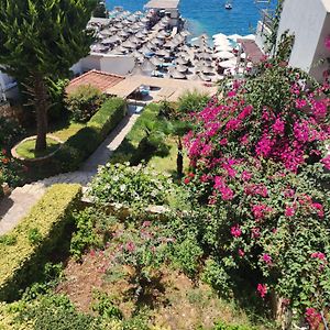 Amelie'S Apartments & Beach Saranda